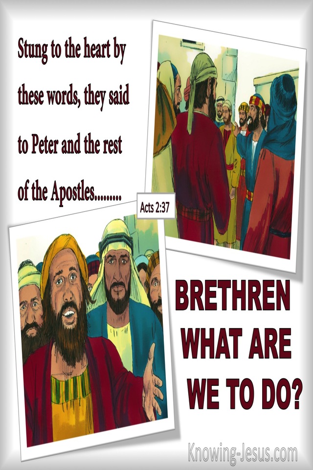 Acts 2:37 Brethren What Are We To Do (red)
